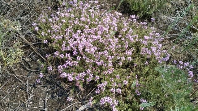 30 июля праздник День Марины и Лазаря. Что можно и нельзя делать. Народные приметы и традиции. смотреть онлайн