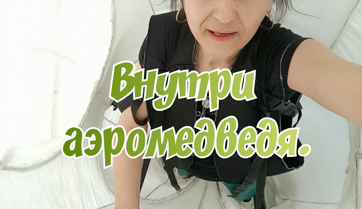 Внутри аэромедведя.
