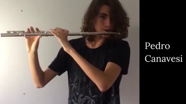 Quarentena dos Flautísticos!!! смотреть онлайн