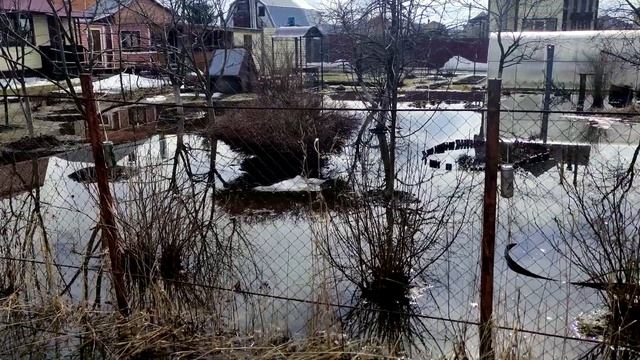 Весной на дачном участке стоит вода