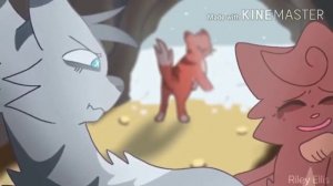 Воробей Коты воители под песню (Никогда)