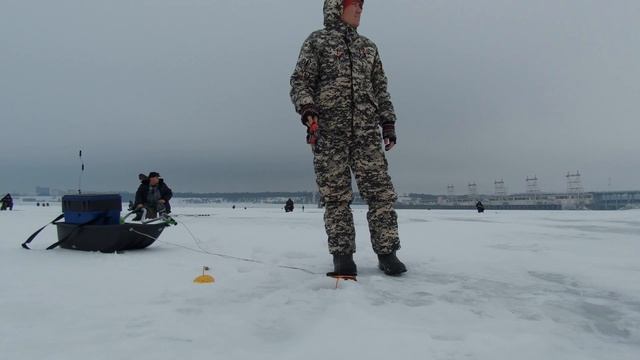 РЫБАЛКА. ОКУНЬ на БАЛАНСИР Rapala. Река ВОЛГА. Чебоксарская ГЭС... смотреть онлайн