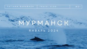 Первый VLOG. День рождения в Мурманске. Киты. Териберка. Аврора.