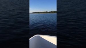 Неман 450 на Сузуки 40