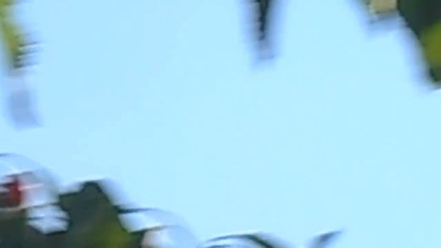 как уберечь черешню от птиц(21.05.2016г.) смотреть онлайн