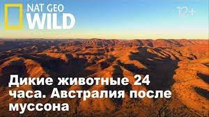 Nat Geo Wild Дикие животные 24 часа. Австралия после муссона   Wild 24