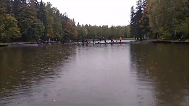 Силиконовые приманки и блесна-приманки, на которые можно поймать форель.Клёвое местолосиный остров.