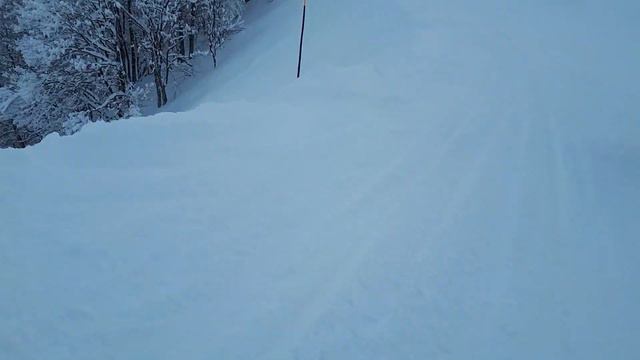 20190228 Роза-Хутор, трасса Панорама на южном склоне