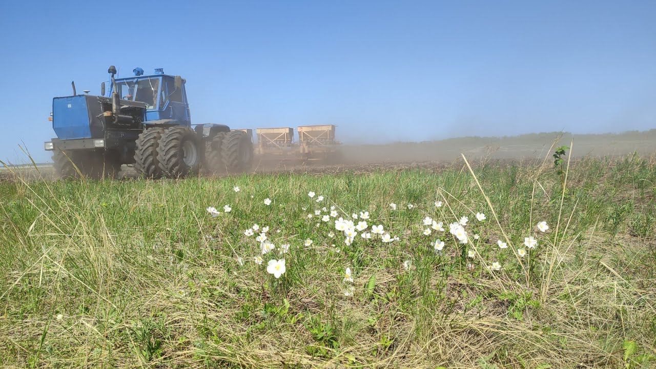 закончили посевную 2023 года. т150 отработал без поломок. смотреть онлайн