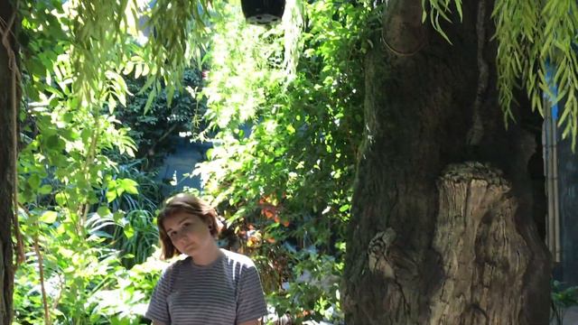 новосибирск и просто животные под музыку смотреть онлайн