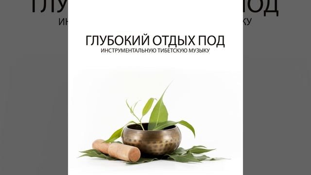 Медитирующие вибрации смотреть онлайн