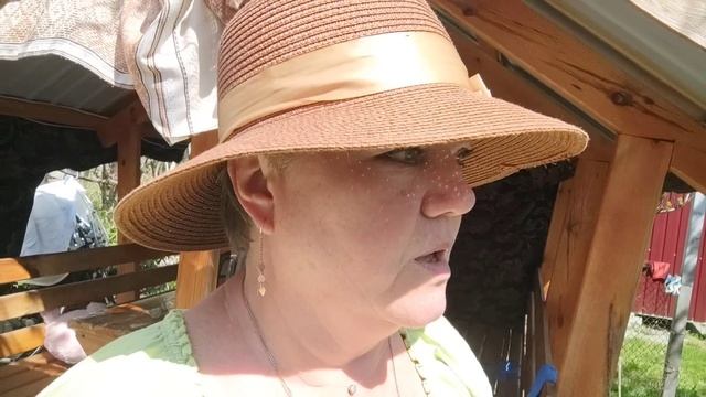 Пересадила Рукколу. Посадили помидоры и многое другое. смотреть онлайн