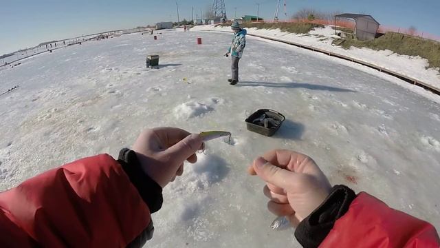 Форель на раттлин со льда
