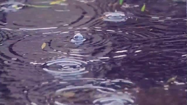 "ЛЕТНИЙ ДОЖДИК" - Раиса Криницкая (стихи, вокал), Анатолий Пережогин (музыка, вокал) смотреть онлайн