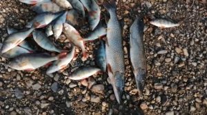 Сплав по Лозьве