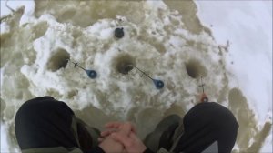 "BF"-№ 26. За зимним ельцом. Ловля ельца зимой на удочку.