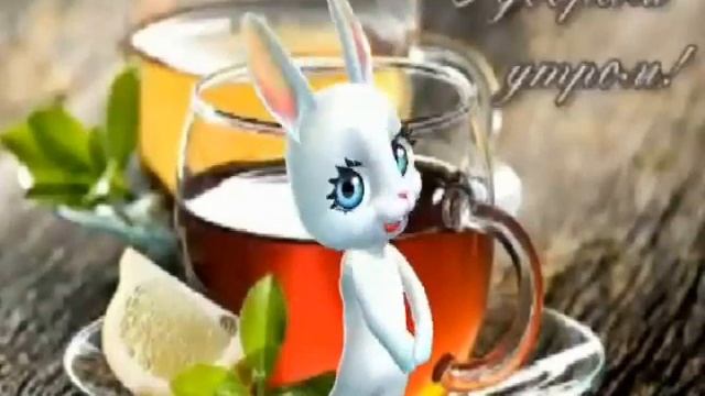 zoobe зайка солнышко мое вставай