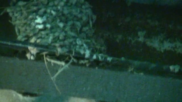 Мои ласточки живут как в раю 23.06.2019 г смотреть онлайн