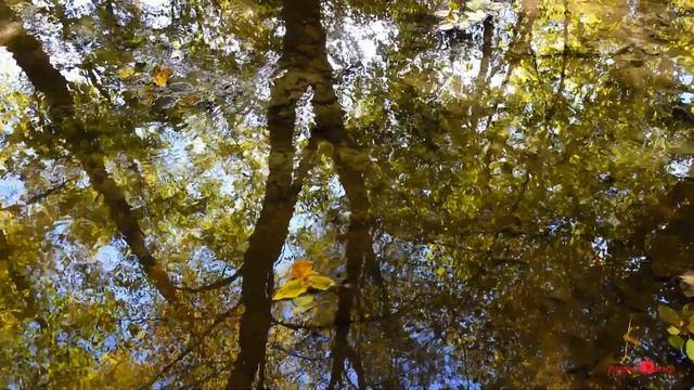 ПРОСТИ ЗА ВСЁ... Это красивая, душевная Грустная музыка любви! Послушайте! смотреть онлайн