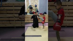 Учим ЛЕГКО удары ногами. Фронт-кик с первого раза.?? #силамышц#кикбоксинг#спорт#дети