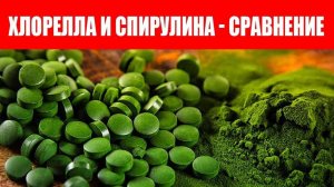 Хлорелла или Спирулина. Что полезнее?  Порошок или Таблетки