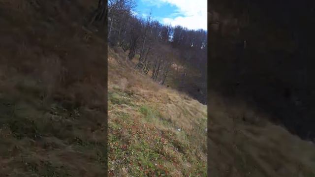 Челябинская область город Миньяр