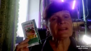 Фітофос Квантум. Хелатное удобрение с фунгицидным эффектом.