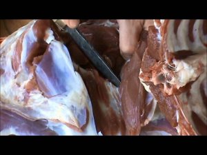 Тест ножа "Грибник" клинок 9ХС, и "Тяпки" из дамаска