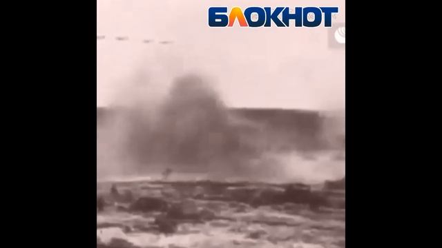 Владимир Высоцкий. «Братские могилы». Читает Максимова Арина. смотреть онлайн