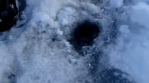 Хариус 1кг  Зимняя рыбалка на р Колыма winter fishing