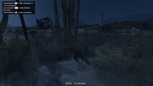 Где найти все Кактусы Пейот , Игра за Животных GTA 5