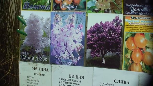 Фазенда - 2012  Весна 60