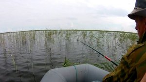 Озеро Жалтыр. Клёвая рыбалка!