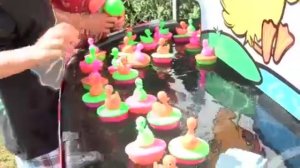 Duck Pond Sales from Twister Display - Duck Pond VO