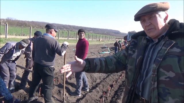 Секрет выращивания элитных саженцев. Посадка. I поле. Февраль 2021 смотреть онлайн