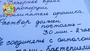 Тля на перце. Что делать? Биопрепараты против вредителей. Как правильно их использовать