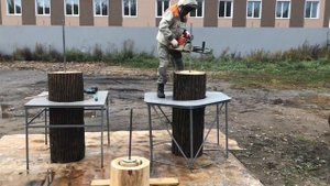 Колоды для пчёл. Прорыв