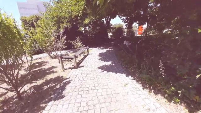 Освобождение от бесов. ?? Из меня вышло три змеи ? и сотни мух ??????????????????????????? смотреть онлайн