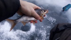 Зимняя рыбалка 2021 ловля плотвы на безкивковую удочку