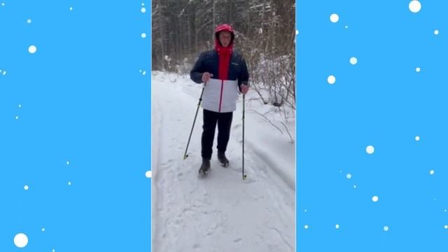 Скандинавская ходьба: Основы