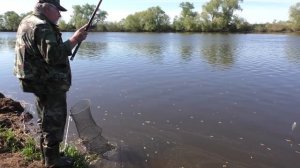 Рыбалка на Москва-реке в мае 2018 г. на поплавок Cralusso Bolo