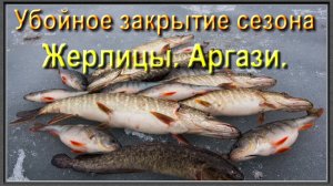 Убойное закрытие зимнего сезона на жерлицы. Аргази. Щука, окунь, налим