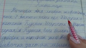 Проверяю контрольный диктант по русскому языку 2 класс