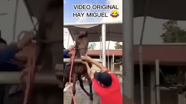 VIDEO ORIGINAL HAY MIGUEL ??