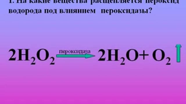 Каталитическая функция белков.AVI смотреть онлайн