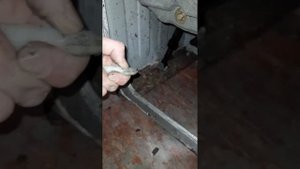 Замена подшипников стиральной машины LG