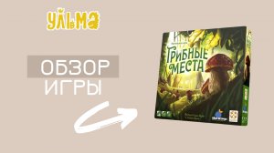 Смотреть только тем кто готов пойти по грибы! Обзор настольной игры "ГРИБНЫЕ МЕСТА"