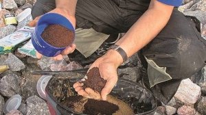 Для чего рыбаки в прикормку добавляют землю?