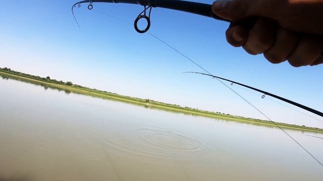 СЫРДАРЬЯ. Рыбалка на сазана смотреть онлайн