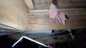 подвал частного дома, проблема с несущими балками. (1) 2022